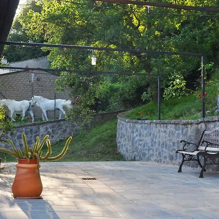 Agriturismo Il Noce Lägenhet Bagnoregio